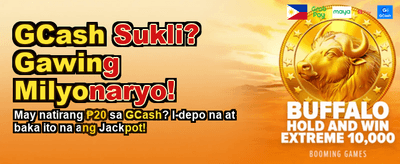 Experience Top-Tier Online Gaming banner